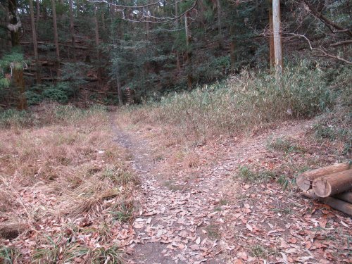 登山道